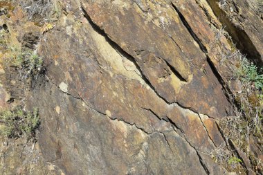 Montuain 'in çeşitli tonlarında doğal kayrak dokusu.