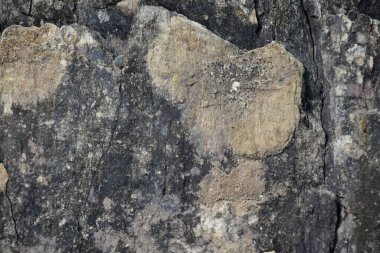 Montuain 'in çeşitli tonlarında doğal kayrak dokusu.