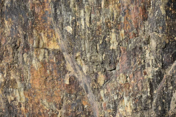 Montuain 'in çeşitli tonlarında doğal kayrak dokusu.