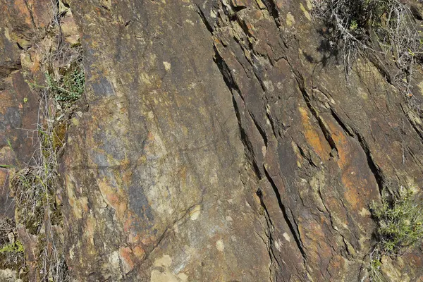 Montuain 'in çeşitli tonlarında doğal kayrak dokusu.