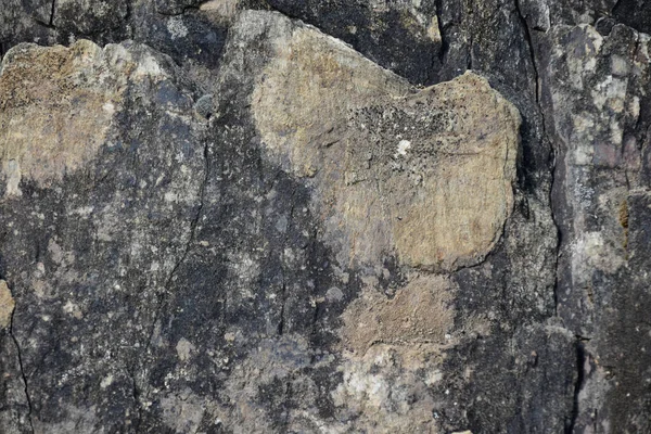 Montuain 'in çeşitli tonlarında doğal kayrak dokusu.