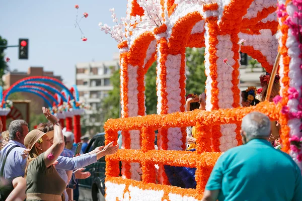 Cordoba, İspanya - 2 Mayıs. 2022: Çiçek Savaşı: Geleneksel flamenko elbiseli kadınlar, Cordoba 'nın başlangıcı olan Çiçekler Savaşı' nda halka çiçek atıyor.