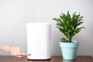 Kadın masadaki modern nemlendiriciyi açıyor. Başbakan 2.5 'u Koru