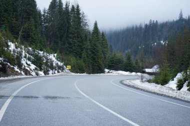 Yolculuk konsepti, kış gezisi. Kışın boş köy yolu. Ağaçlar ve yol kenarları karda. 
