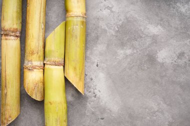 Gri arkaplan üzerinde şekerkamışı metin için boşluk, düz yatıyordu.