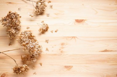 Ortanca, karabatak çiçekleri ahşap bir arka planda, yazı için boşluk, üst manzara. Pastel, doğal renkler. Klasik stil.