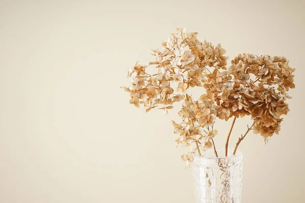 Hydrangea Hortesia Dried Flowers Space Text Pastel Natural Colors Vintage — Stock Photo, Image