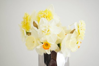 Bahar çiçekleri. Beyaz arka planda vazoda duran sarı nergis çiçeklerinden oluşan güzel bir buket, yakın plan. Anneler günü kartı..