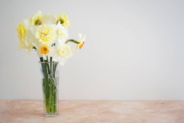 Güzel bir buket taze sarı nergis çiçeği vazonun içinde bej arkaplan ve yazı için yer var. Bahar çiçekleri. Anneler günü kartı..