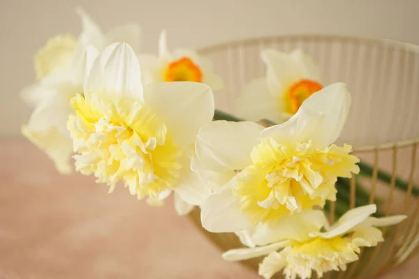 Beautiful Bouquet Fresh Yellow Daffodil Flowers Vase Beige Background Close — стоковое фото