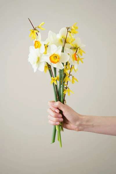 Beautiful Bouquet Fresh Yellow Flowers Daffodils Hand Young Woman Gray — Stock Photo, Image