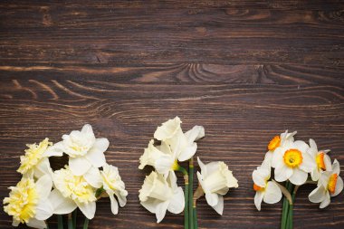 Mavi ahşap zemin üzerinde nergis çiçekleri metin için alan, üst görünüm.