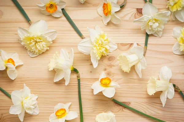 Yellow Daffodil Flowers Wooden Background Top View — стоковое фото