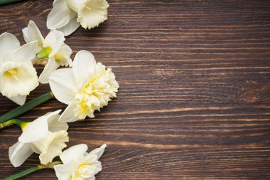 Sarı nergis çiçekleri ahşap bir arka planda, yazı için yer, üst manzara.