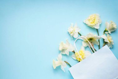 Sarı nergis, açık mavi arka planda beyaz bir kesekağıdında çiçekler, yazı için yer var. Üst görünüm.