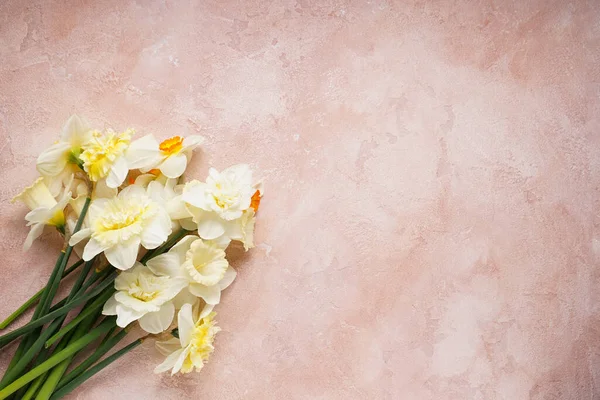 Sarı nergis çiçekleri bej arka planda, yazı için yer var. Üst görünüm.