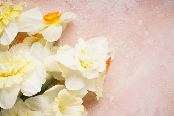 Sarı nergis çiçekleri bej arka planda, yazı için yer, yakın plan. Üst görünüm.