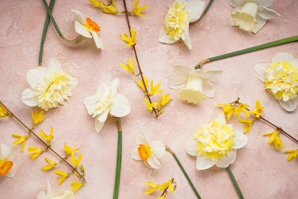 Sarı nergis çiçekleri bej arka planda, üst manzara.