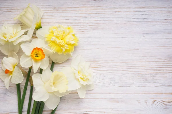 Daffodil Flowers Wooden Light Background Place Text Top View — стоковое фото