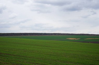 Mavi gökyüzünün altında bulutlu yeşil çayır. Bulutlu hava