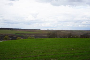 Mavi gökyüzünün altında ekilmiş ve ekilmiş tarlalar ve bulutlar. Bulutlu hava