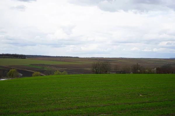 Mavi gökyüzünün altında ekilmiş ve ekilmiş tarlalar ve bulutlar. Bulutlu hava