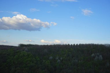 Akşamları yoğun yeşil ormanlarla kaplı dağ tepelerinin manzarası. Ukrayna.