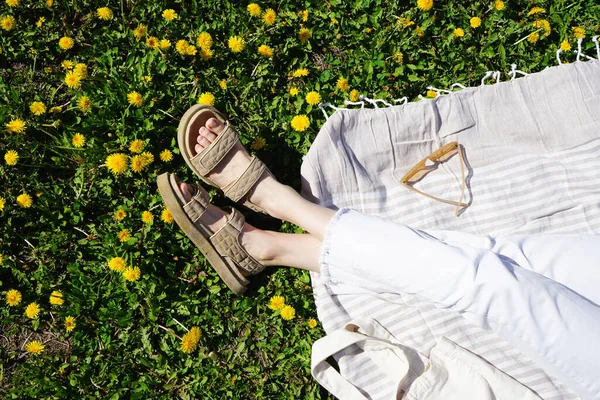 Descanse Parque Verão Deitado Plano Pomar Maçã Florescente Primavera — Fotografia de Stock