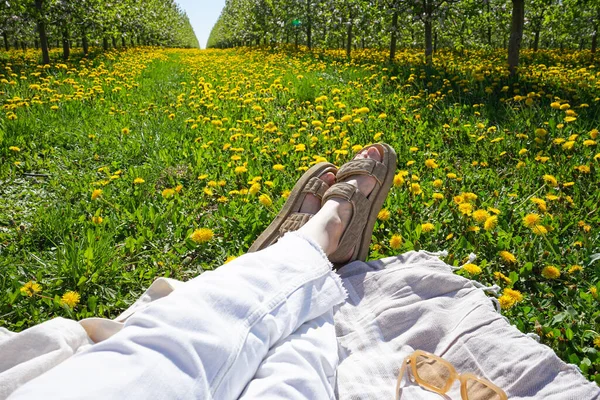 Odpočinek Letním Parku Kvetoucí Jablečný Sad Jaře — Stock fotografie