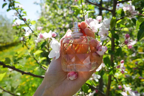 Perfumy Dłoni Młodej Kobiety Zielonym Tle Zbliżenie Kwitnący Sad Jabłkowy — Zdjęcie stockowe