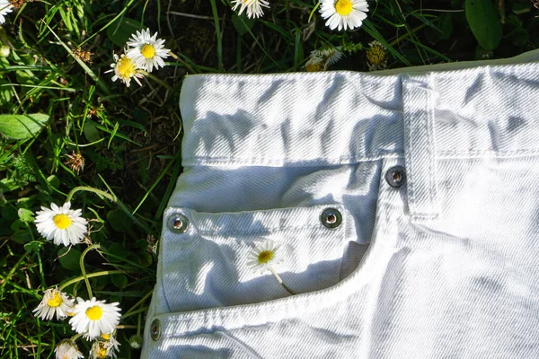 Vita Denim Shorts Bakgrund Fältprästkragar Ovanifrån — Stockfoto