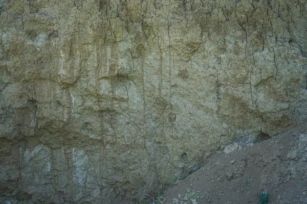 Cross-section in the soil. Texture layers of the earth.