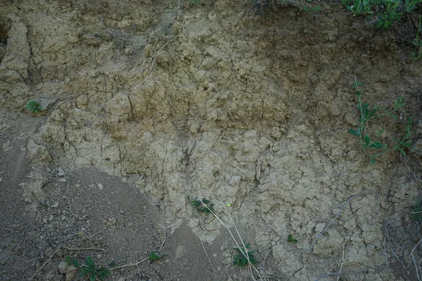 Sezione Trasversale Nel Terreno Strati Struttura Della Terra — Foto Stock