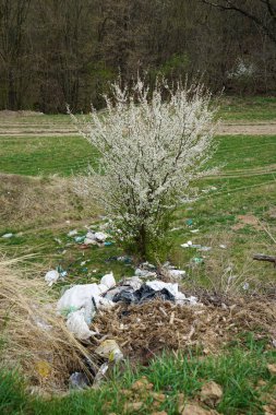 Kırsal kesimdeki orman kenarındaki çöp yığını bir bahar günü yeşil ağaçların arkasında. Plastik doğayı dikey olarak kirletiyor..