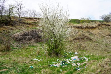 Kırsal kesimdeki bir açıklıkta bir çöp yığını bir bahar günü çiçek açan bir ağacın arka planına karşı. Odaklanamıyorum. Ekoloji kavramı.