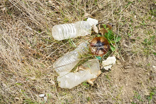 Mucchio Spazzatura Una Radura Campagna Una Giornata Primaverile Concetto Ecologia — Foto Stock