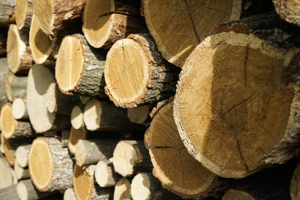 Background Cut Wooden Logs Wood Logs Stacked Pile Royalty Free Stock Images