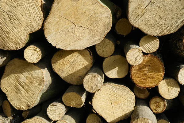 Close Shot Wood Logs Stacked Pile Background Stock Picture