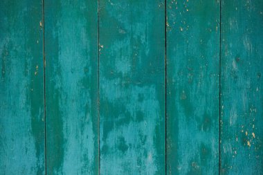 Yeşil ahşap kaplama, doğal desen. Pastel yeşili tahta..