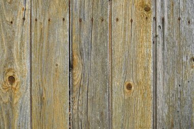 ahşap doku arka plan, doğal desen.