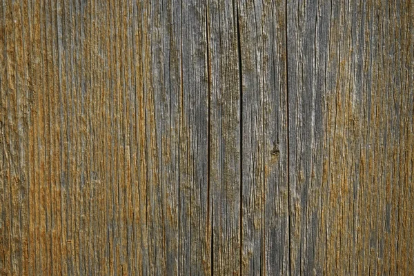 Wood Texture Background Natural Pattern Wood Plank — Stock Photo, Image