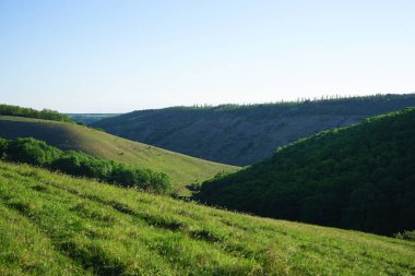 Tepedeki yeşil tarlaları ve ormanı olan yaz manzarası