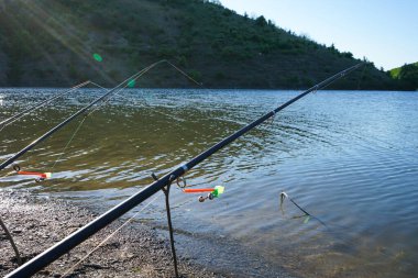 Fishing rods and fishing tackle on the river bank, beautiful nature.