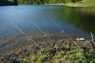 Beautiful nature. Fishing rods and fishing tackle on the river bank. 