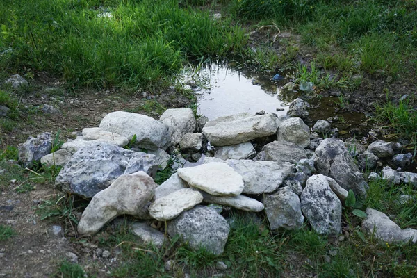 Природа Украины Источника Окруженного Камнями — стоковое фото