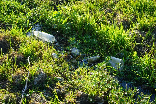 Garbage Concept Environmental Pollution Plastic Bottles Grass — Foto Stock