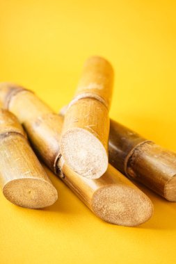 Sugarcane on a yellow background. Close-up. Vertically.