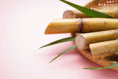 Sugar cane and green leaf in a wooden tray on a pink background with space for text. Close-up.