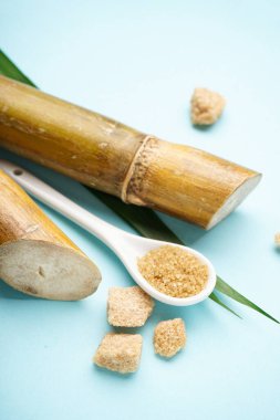 Sugar cane and brown sugar pieces on blue background, closeup, vertically.