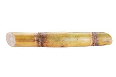 Sugarcane isolated on white background, close-up.